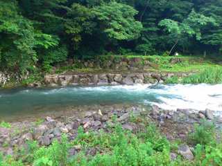 mini_120712_1536.jpg